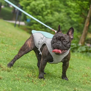 Zomervest voor Honden Ademend Reflecterend Snelsluiting